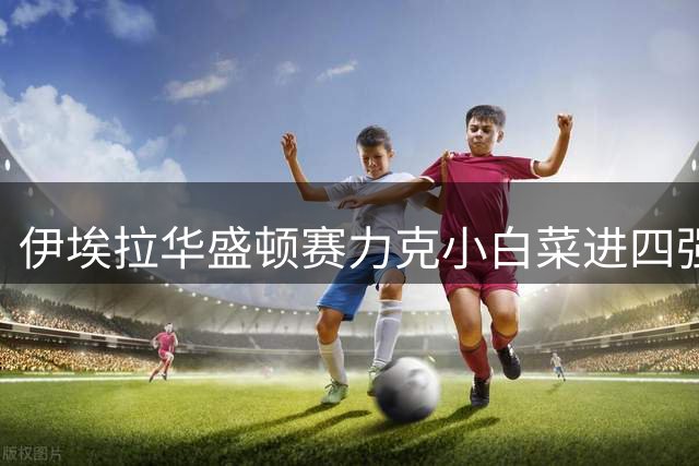 伊埃拉华盛顿赛力克小白菜进四强，回应家境优渥：网球不认出身