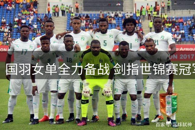 国羽女单全力备战 剑指世锦赛冠军宝座